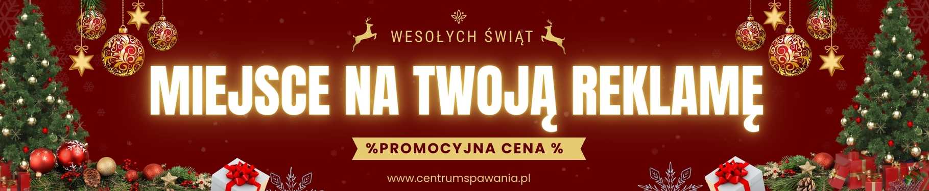 Centrum spawania - baner 